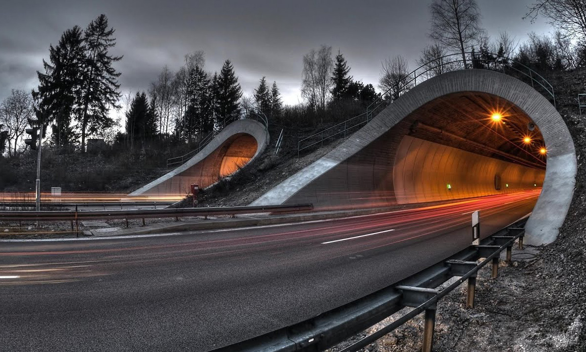 Tunnel