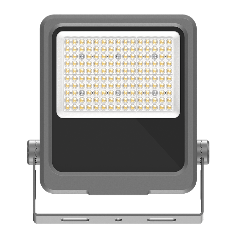 PY-FL02-100W Lavenergi LED Flood Light