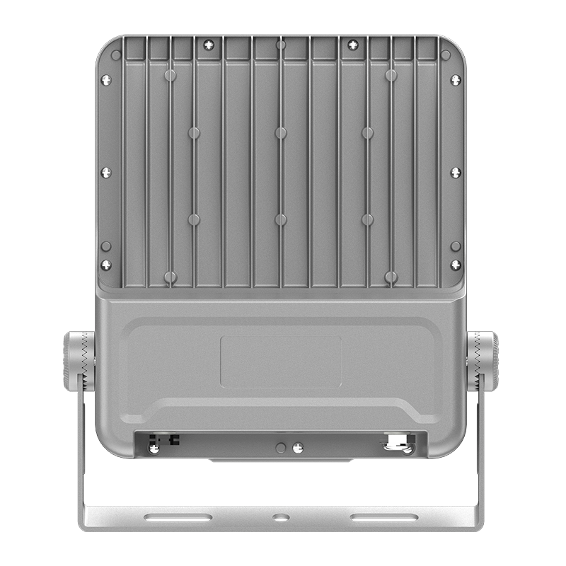 PY-FL02-100W Lavenergi LED Flood Light